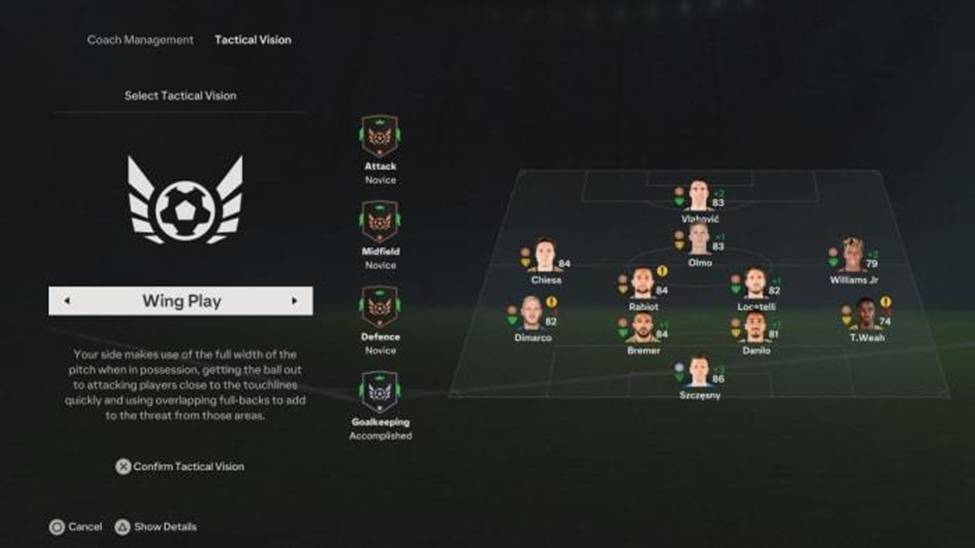 WING PLAY TACTICAL VISION