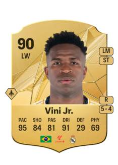 Left Wings Vini jr
